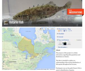 Ontario Fish Project