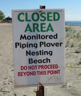 Sign showing beach closed